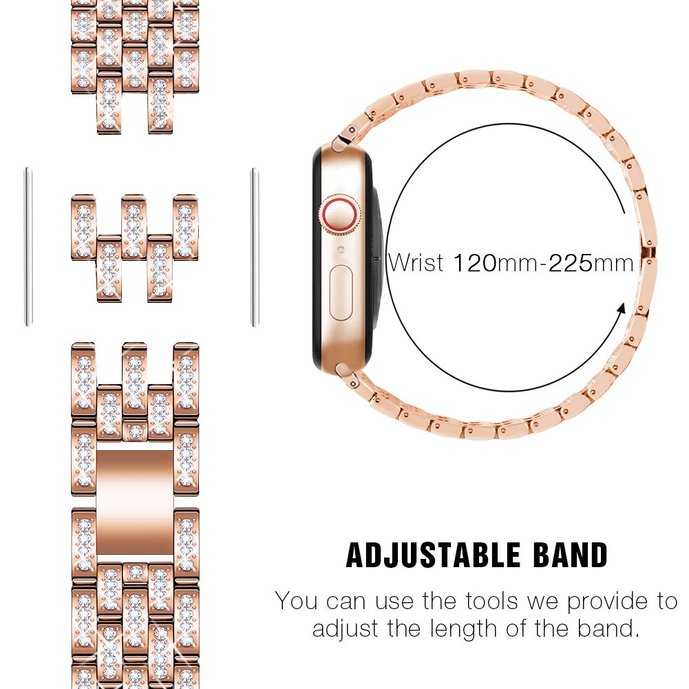 Deliciae Luxury Band + Case